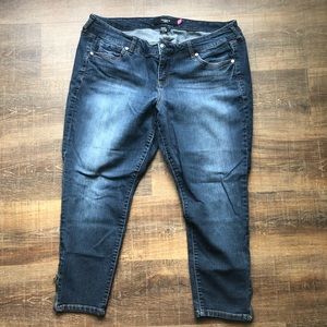 Torrid ankle-zip skinny jeans